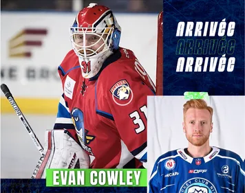 Evan Cowley, le nouveau gardien des Ducs d'Angers